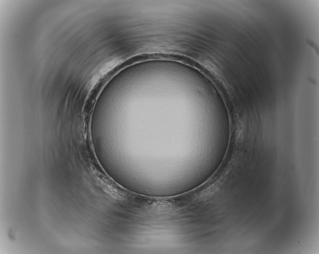 X0000102830974200808251130