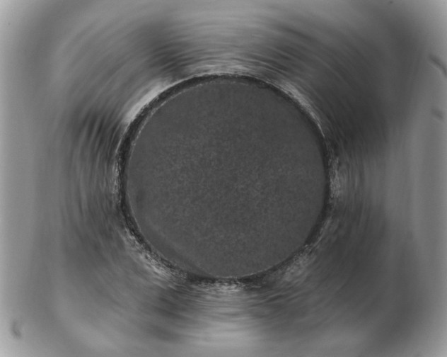 X0000102830975200808251130