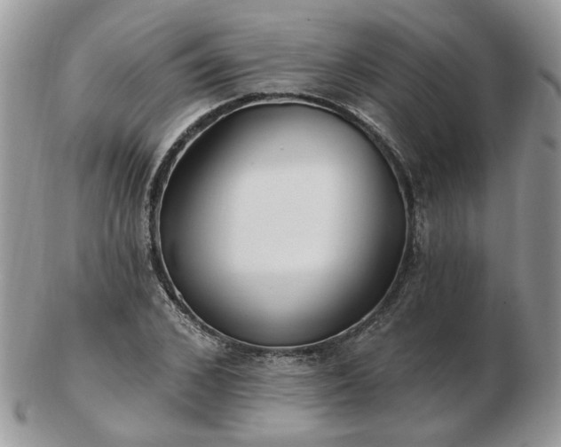 X0000102830976200808251130