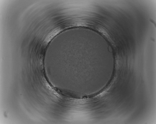 X0000102830977200808251130