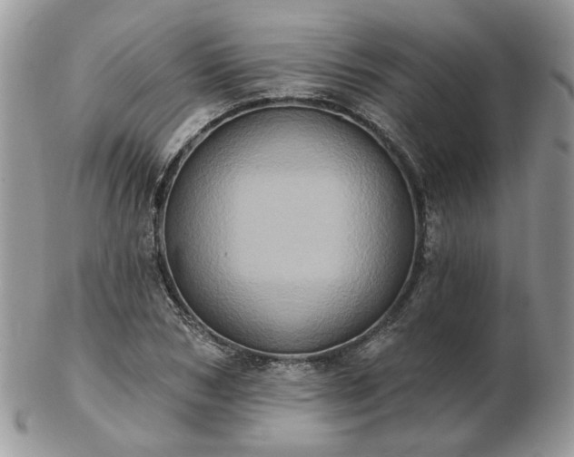 X0000102830978200808251130