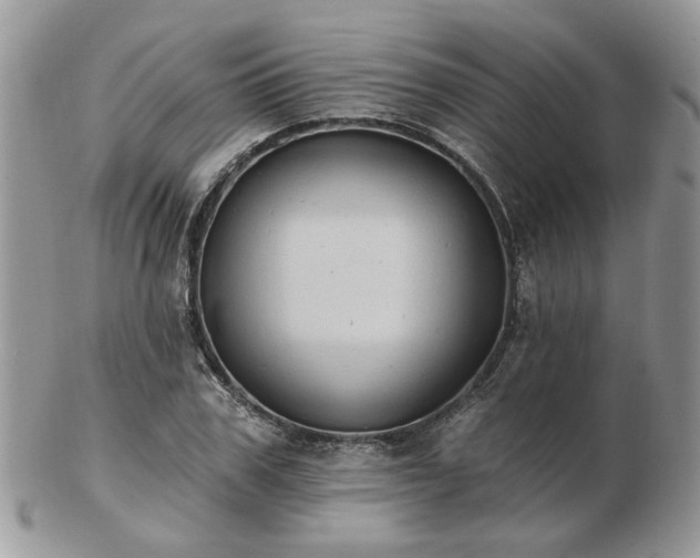 X0000102830979200808251130