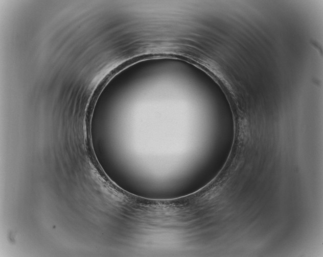 X0000102830980200808251130