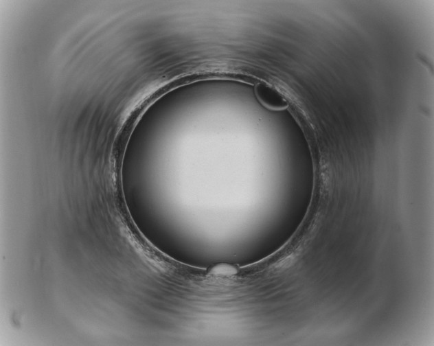 X0000102830981200808251130