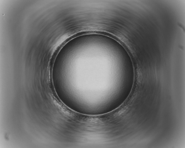 X0000102830982200808251130