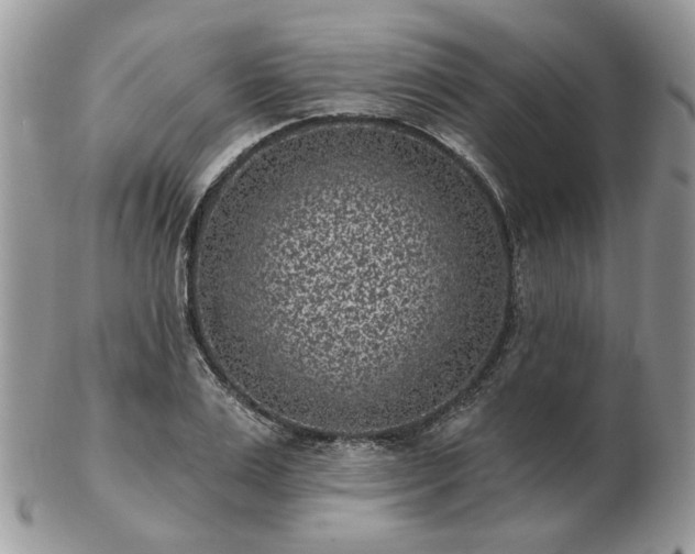 X0000102830983200808251130