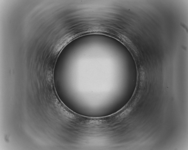 X0000102830985200808251129