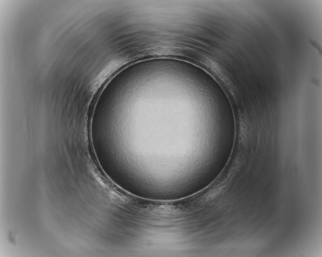 X0000102830986200808251129