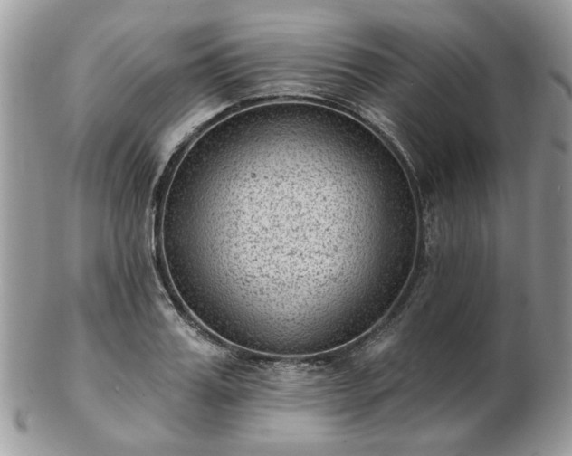 X0000102830987200808251129