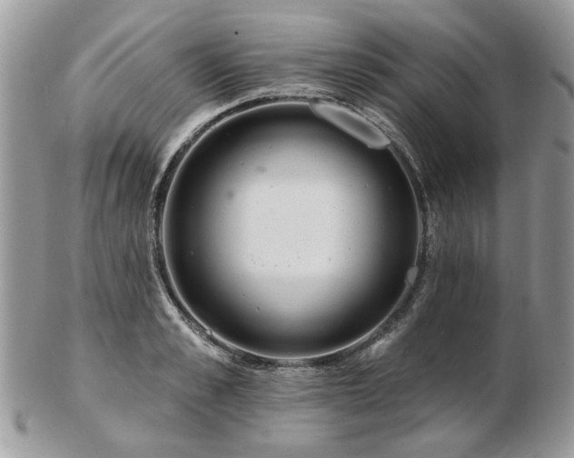 X0000102830989200808251129