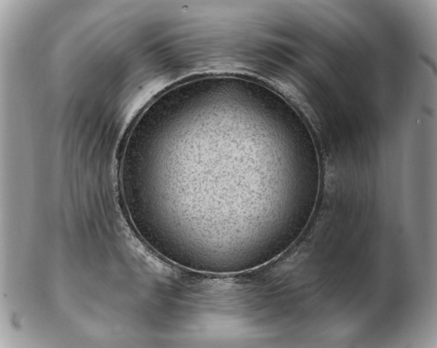 X0000102830990200808251129