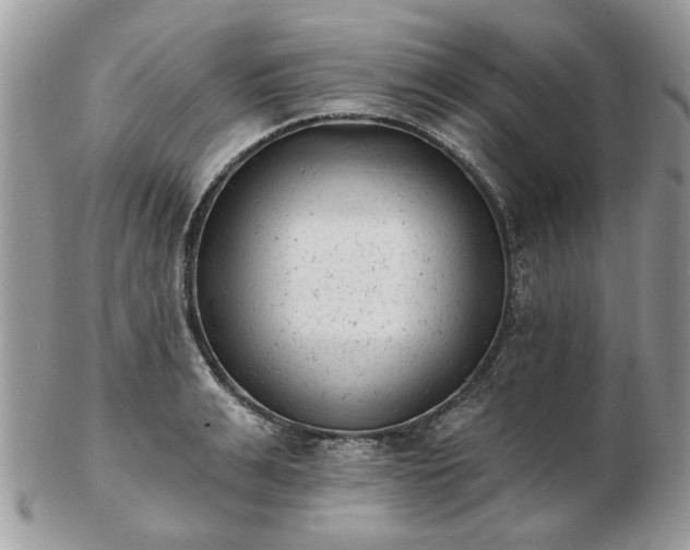 X0000102830991200808251129