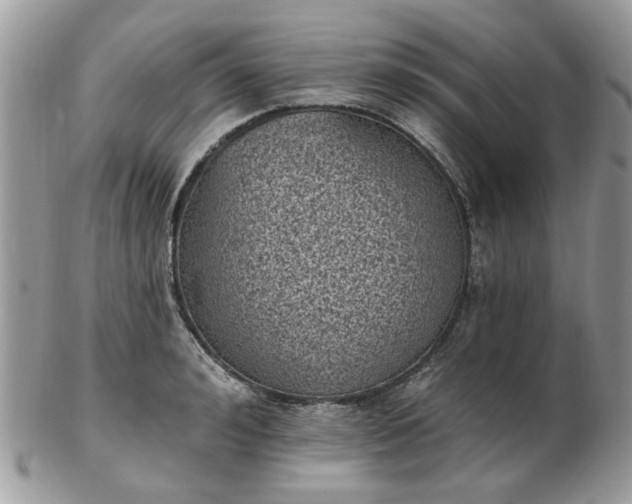 X0000102830992200808251129