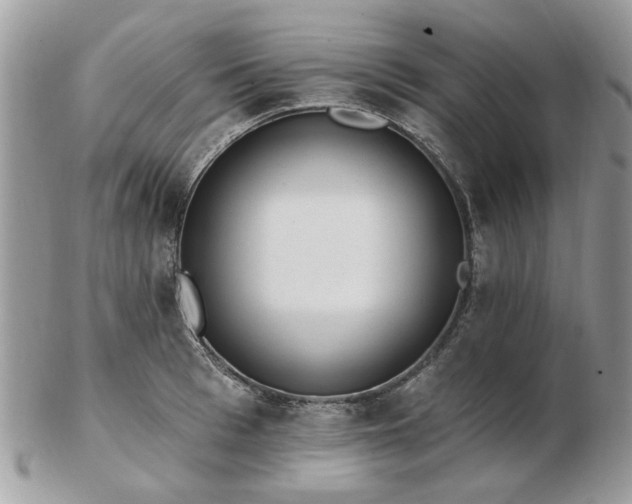 X0000102830993200808251129