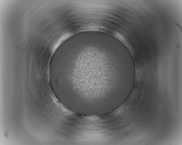 X0000102830994200808251129