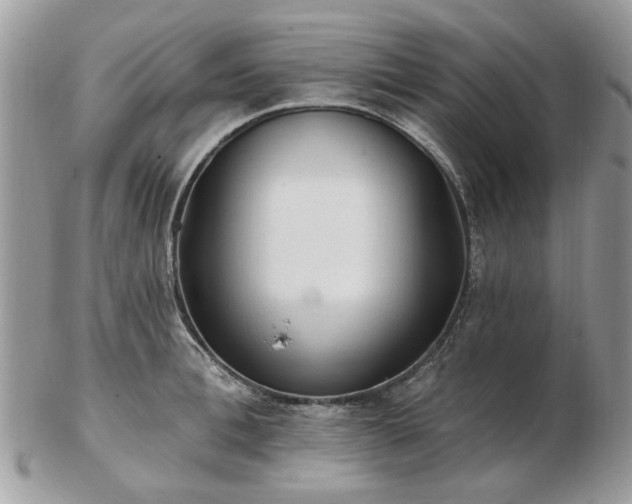 X0000102830996200808251129