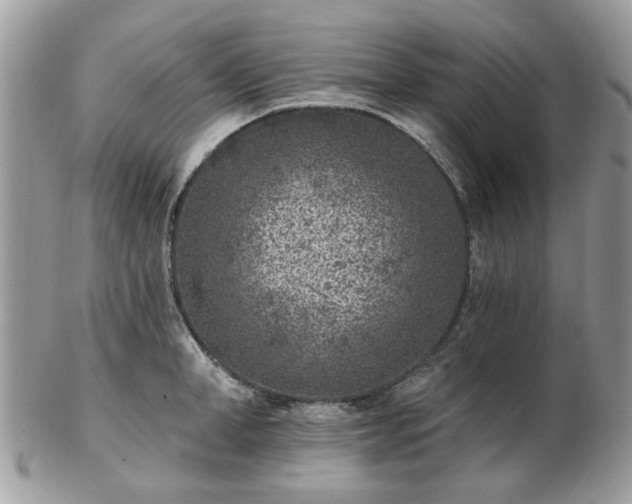 X0000102830998200808251129