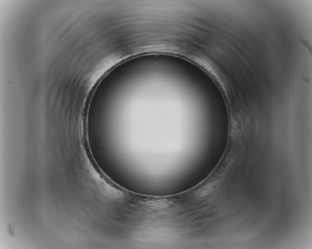 X0000102830999200808251129