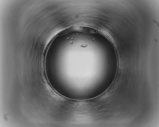 X0000102831000200808251129