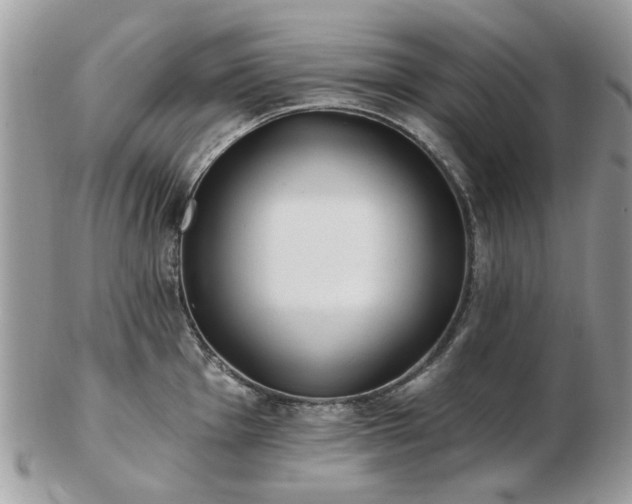 X0000102831001200808251129