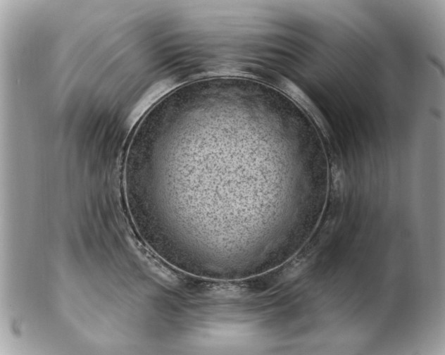 X0000102831002200808251129