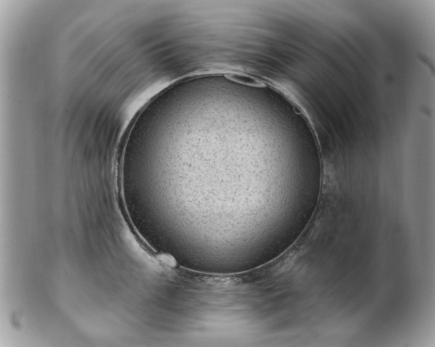 X0000102831003200808251129