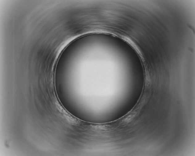 X0000102831004200808251129