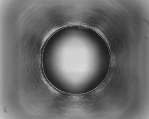 X0000102831005200808251129