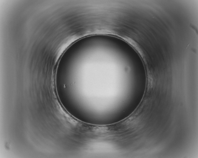 X0000102831006200808251129