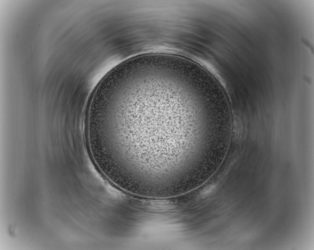 X0000102831007200808251129