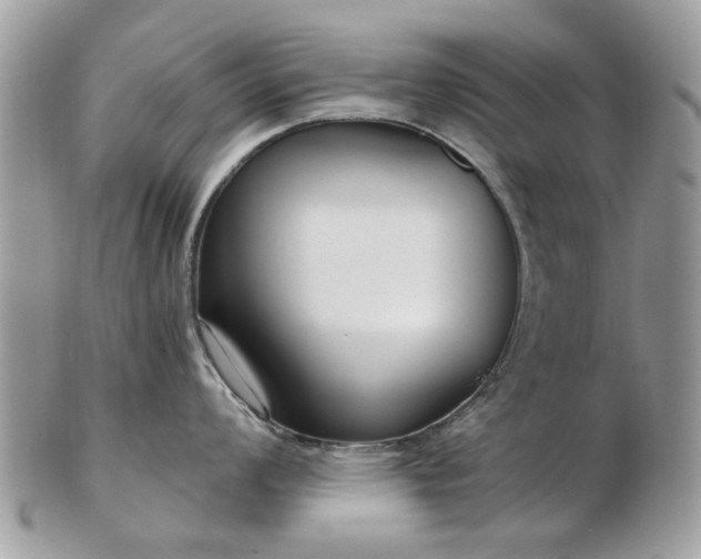 X0000102831008200808251129