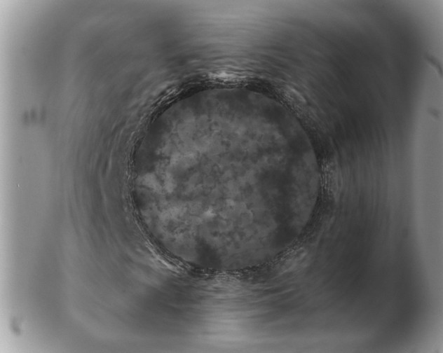 X0000102831009200808251129