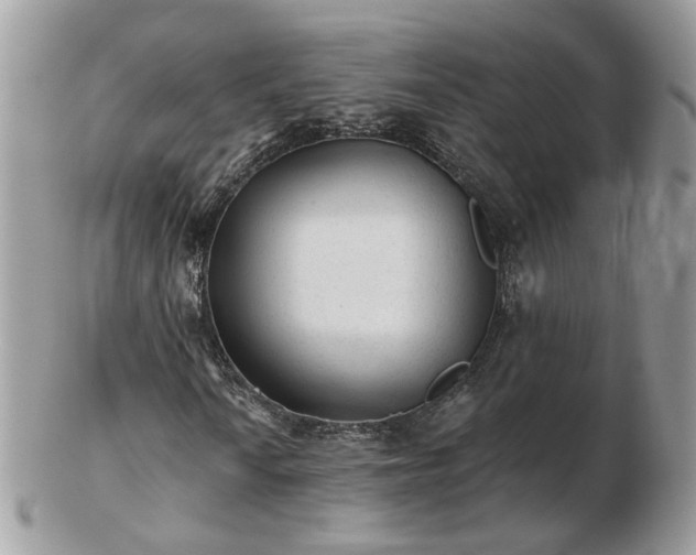 X0000102831010200808251129