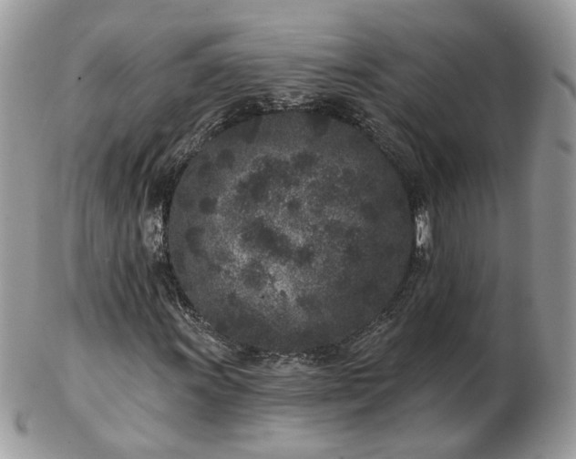 X0000102831011200808251129