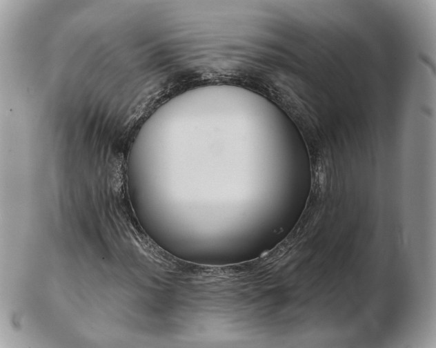 X0000102831012200808251129