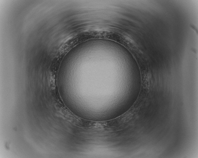 X0000102831013200808251129