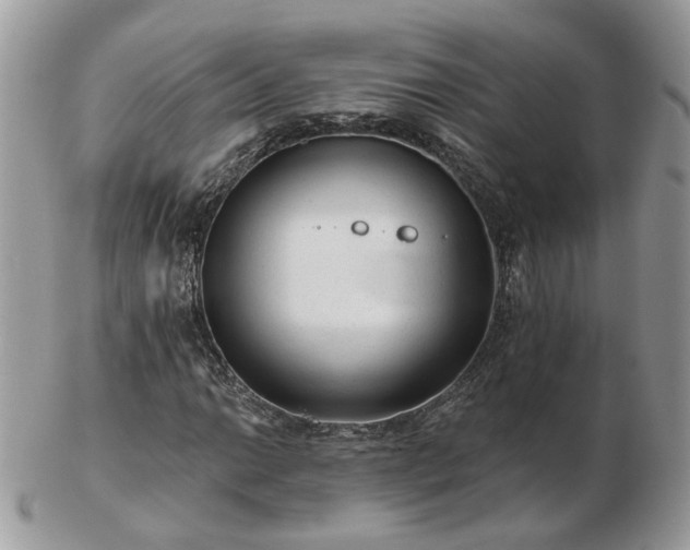 X0000102831014200808251129