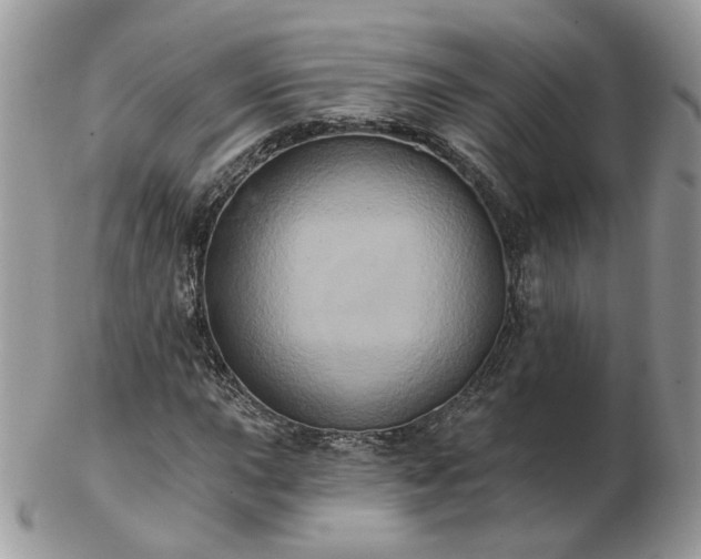 X0000102831015200808251129