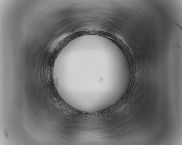 X0000102831016200808251129