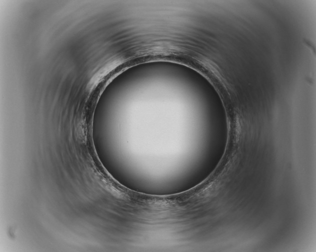 X0000102831018200808251129