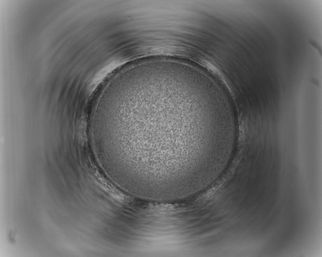 X0000102831019200808251129