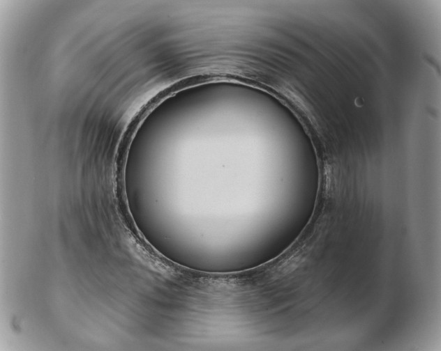 X0000102831020200808251129