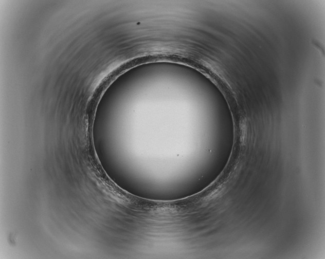 X0000102831021200808251129