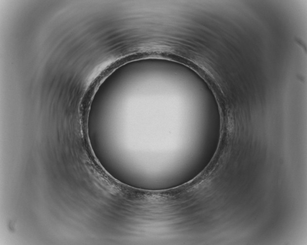 X0000102831022200808251129