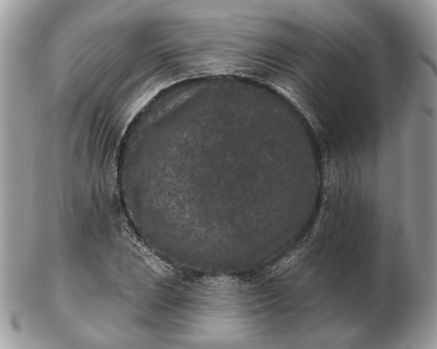 X0000102831023200808251129