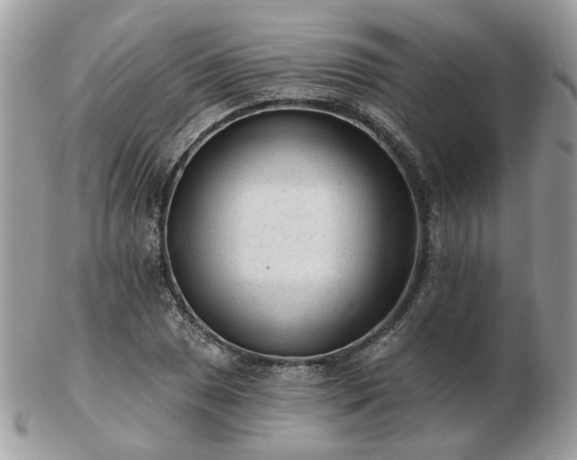 X0000102831025200808251129