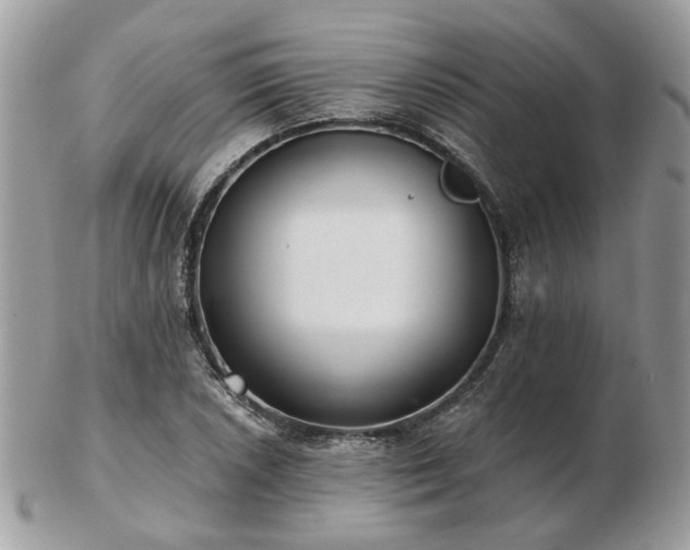 X0000102831026200808251129