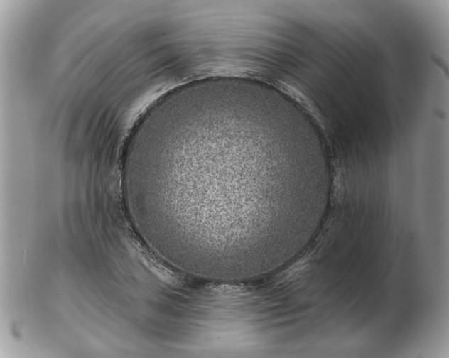 X0000102831027200808251129