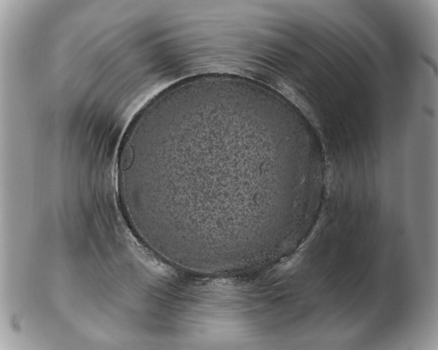 X0000102831028200808251129