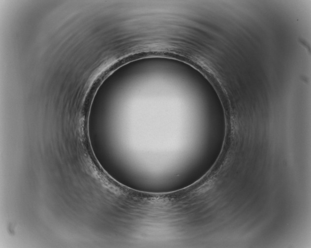 X0000102831029200808251129